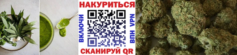 shop как зайти  Кингисепп  Печенье с ТГК конопля  гидра ссылка 