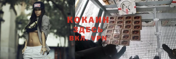 МДМА Каменка