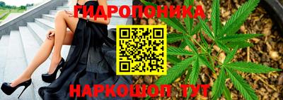 индика Краснокаменск