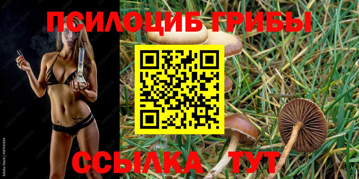 Псилоцибиновые грибы Magic Shrooms Кингисепп