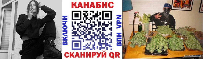 сколько стоит  Кингисепп  Бошки Шишки VHQ 