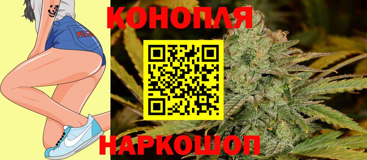 Канабис конопля Кингисепп